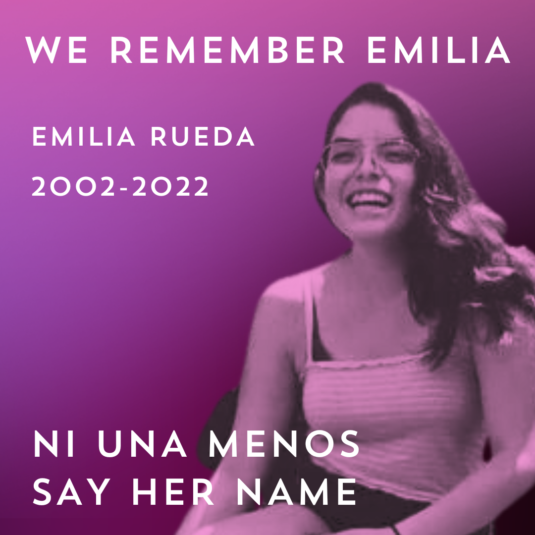 Image of Emilia in pink and We Remember, 2002-2022, Say Her Name, Ni Una Menos