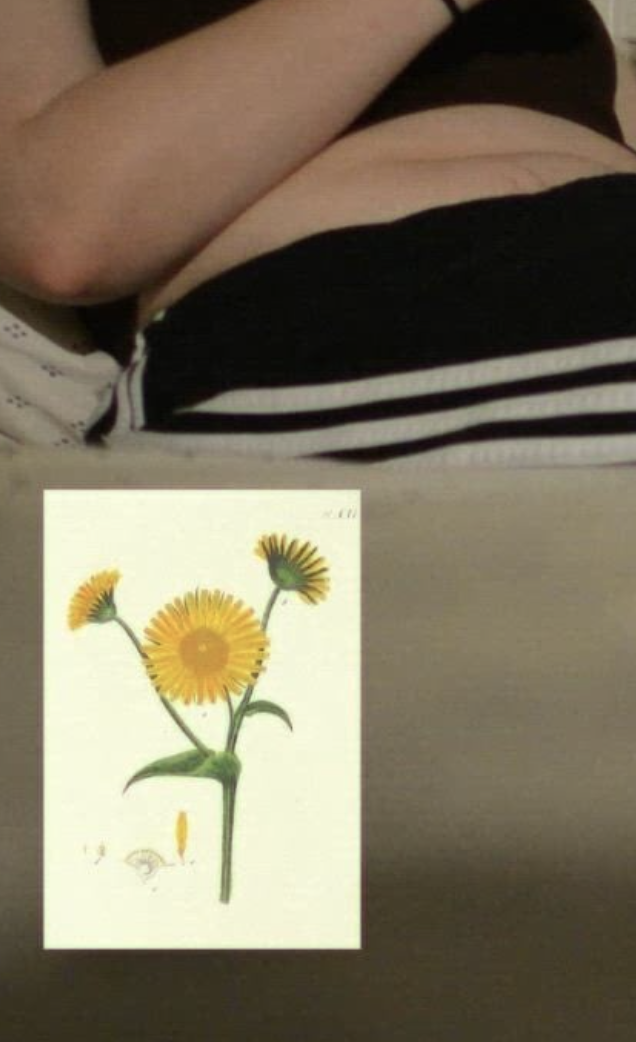 Archival Image of a flower and Person's Body